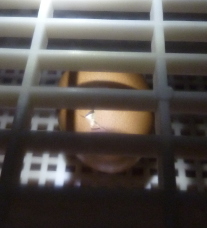 Œuf